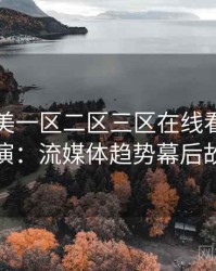 国产欧美一区二区三区在线看专访陈导演：流媒体趋势幕后故事