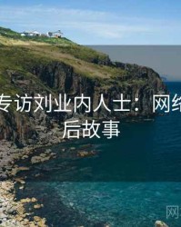 91爆料专访刘业内人士：网络舆论幕后故事