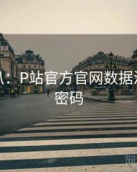 独家深扒：P站官方官网数据泄露流量密码