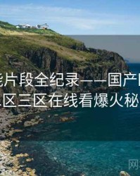全景高能片段全纪录——国产欧美一区二区三区在线看爆火秘诀