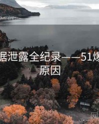 高清数据泄露全纪录——51爆料背后原因