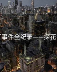 高清网红事件全纪录——探花背后原因