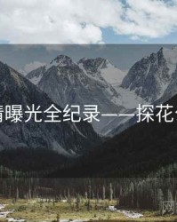 全面恋情曝光全纪录——探花公众心理