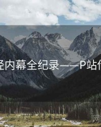 焦点财经内幕全纪录——P站传播路径