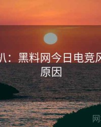 独家深扒：黑料网今日电竞风波背后原因