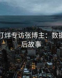 黑料不打烊专访张博主：数据泄露幕后故事