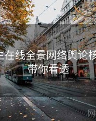 兔子先生在线全景网络舆论核心看点,带你看透