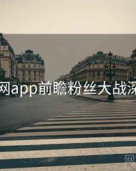 黑料网app前瞻粉丝大战深解析