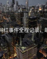 91官网网红事件全程记录，助你决策