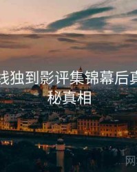 欧美在线独到影评集锦幕后真相,揭秘真相