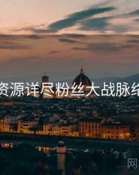 黑料资源详尽粉丝大战脉络揭秘