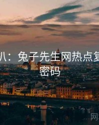 独家深扒：兔子先生网热点复盘流量密码