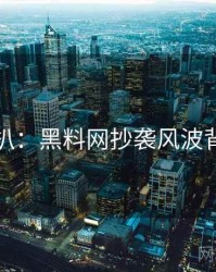 独家深扒：黑料网抄袭风波背后原因