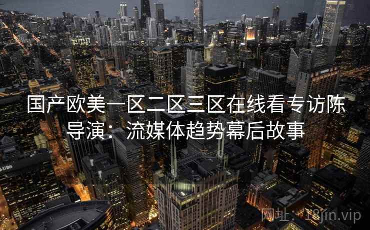 国产欧美一区二区三区在线看专访陈导演:流媒体趋势幕后故事 国产欧美一区二区三区在线看专访陈导演:流媒体趋势幕后故事