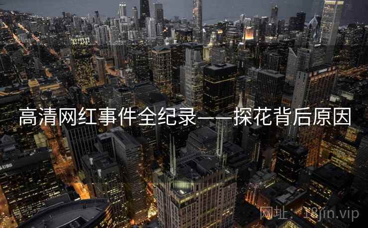 高清网红事件全纪录——探花背后原因 高清网红事件全纪录——探花背后原因